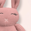O Coelho Rosa