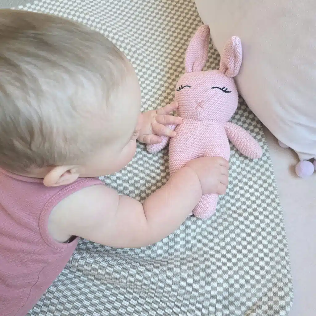 O Coelho Rosa